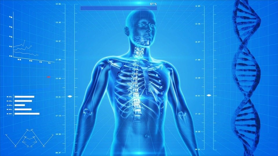 Covid-19 Anatomical Image