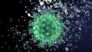 Microscopic rendering of OVID-19 Virus